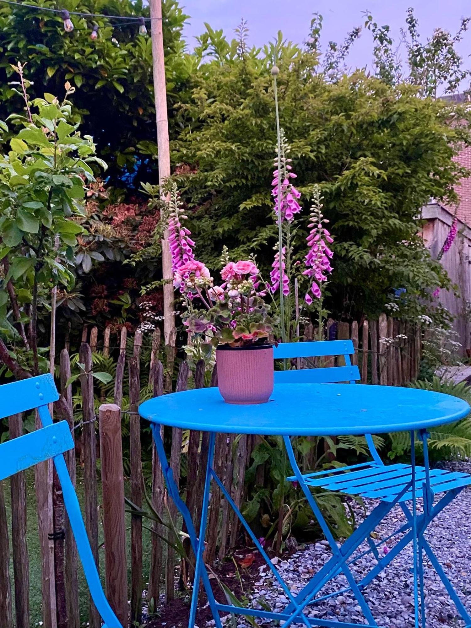 In De Aap - Appartementen & Guesthouse Μπέργκεν Εξωτερικό φωτογραφία